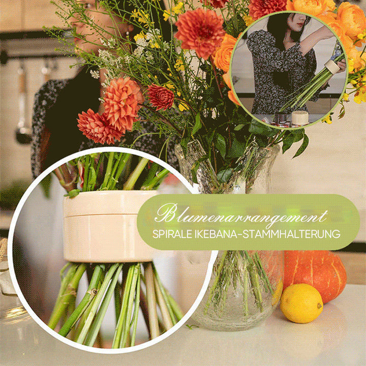 Spiral Ikebana Stilkholder | Luvikno