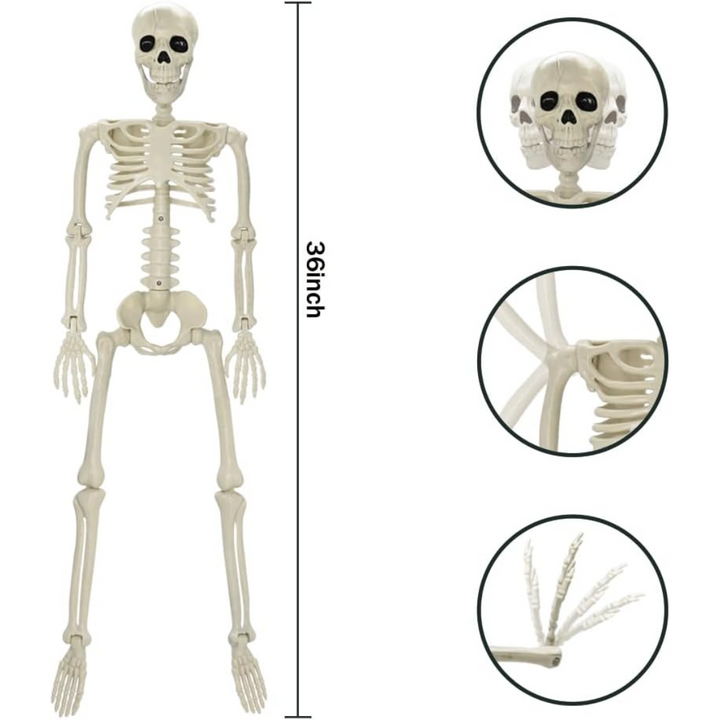 Helkropp Skelet Halloween Dekorasjon – Garantert Skremmende, Morsomt for Alle Luvikno