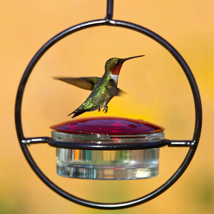Luvikno | Enkel Kolibri Vannedispenser Laget av Metall