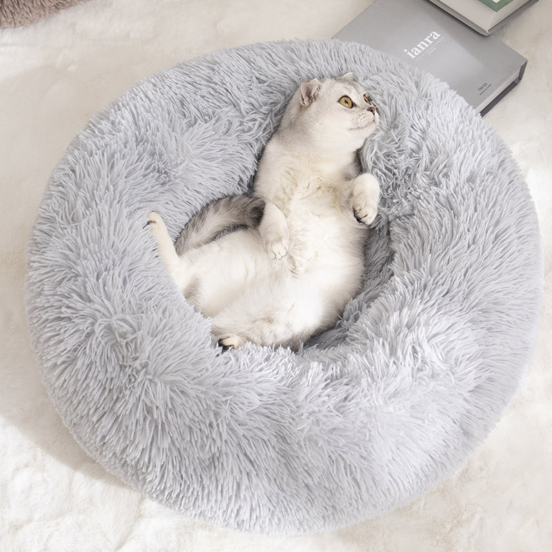 Koselig Sky Katt Seng Luvikno