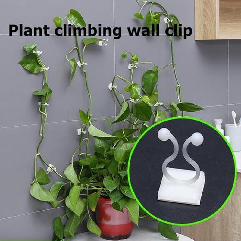 Veggholder for klatreplanter (30 deler) | Luvikno