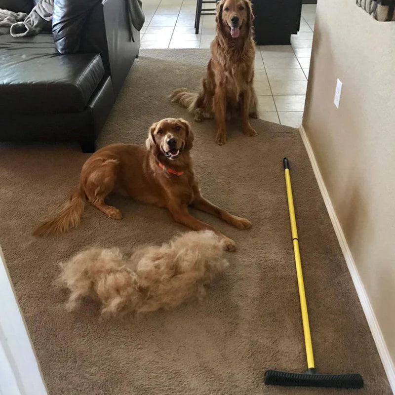 Pet Hair Removal Broom | Luvikno