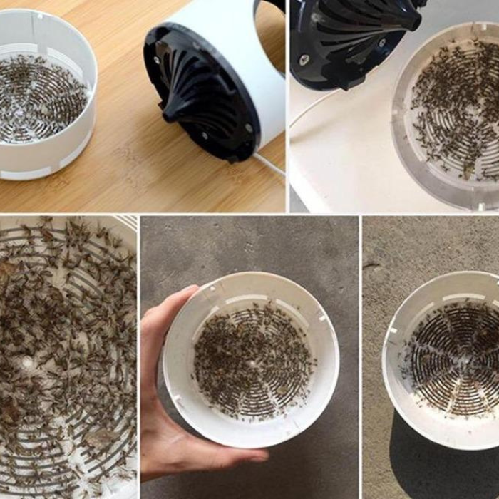 SilentTrap Elektrisk Myggfangst med Vakuum Utrekk Bolf heis