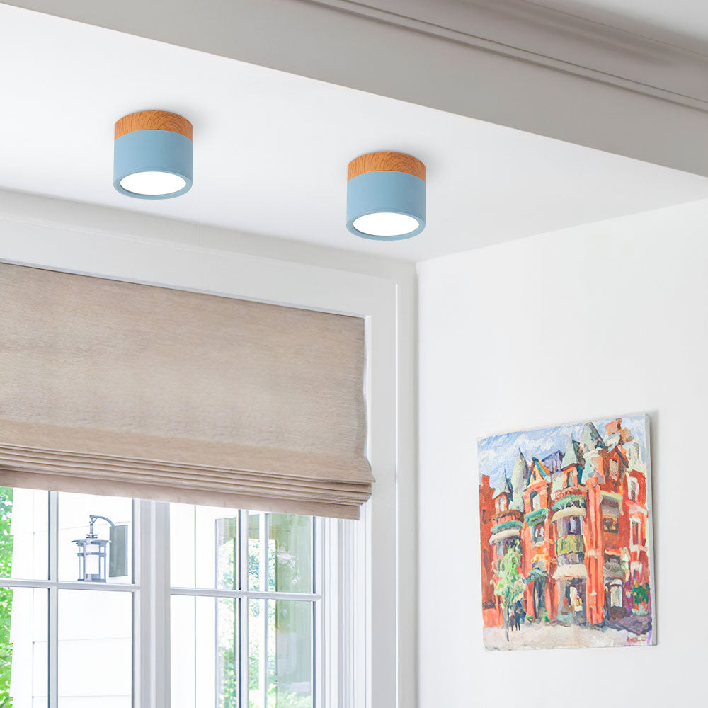LED Taklampe Moderne Flush Mount Sylinder Luvikno