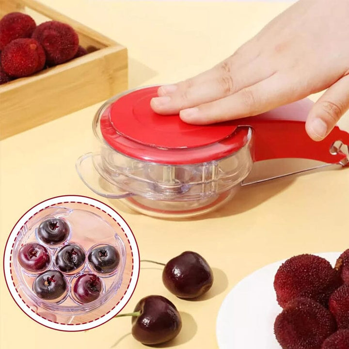 Cherry Pitter Tool | Luvikno