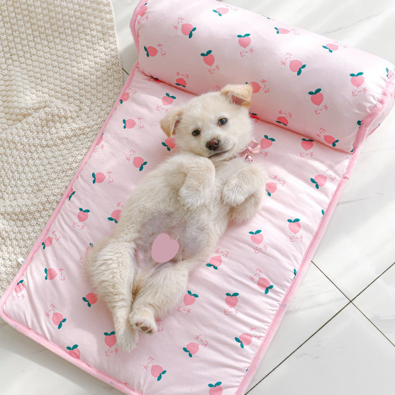 Ice Silk Cooling Mat for Dogs & Cats🐶 | Luvikno