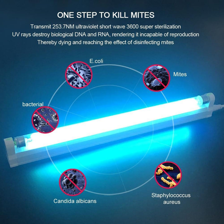Luvikno | UV Lys - Ultrafiolett Luvikno | Lys