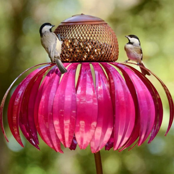 Bird Feeding Station D'éChinacéE | Luvikno