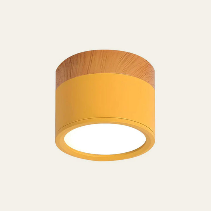 LED Taklampe Moderne Flush Mount Sylinder Luvikno