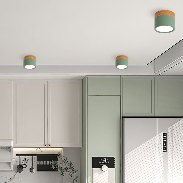 LED Taklampe Moderne Flush Mount Sylinder Luvikno