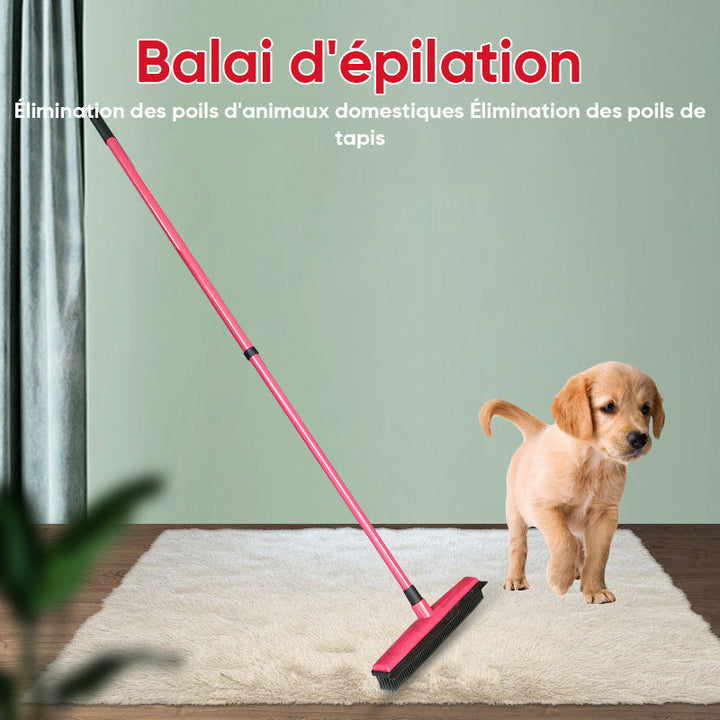 Pet Hair Removal Broom | Luvikno