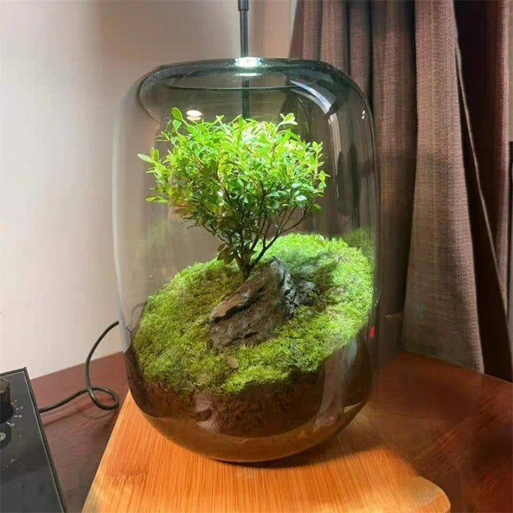Micro Landscape Green Oasis Glass Vase | Luvikno