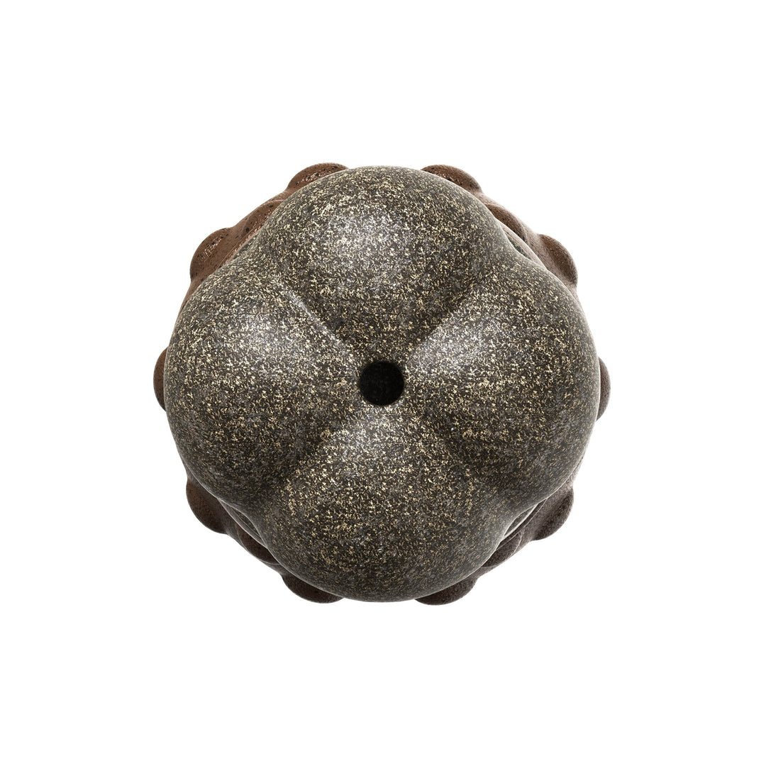 Sound Bone Chew Toy – Tannrengjøring & Lek for Hunder Luvikno