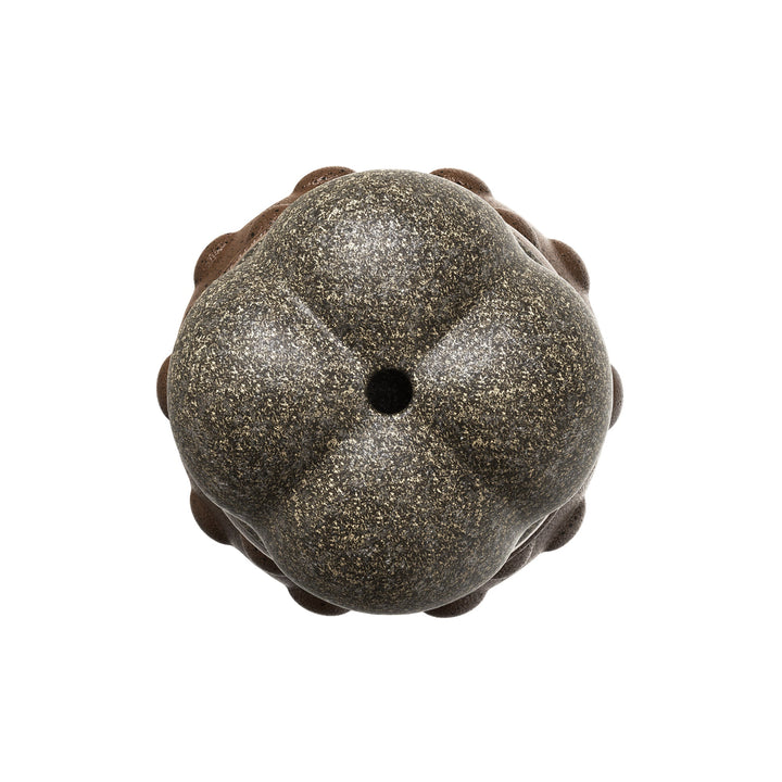 Sound Bone Chew Toy – Tannrengjøring & Lek for Hunder Luvikno