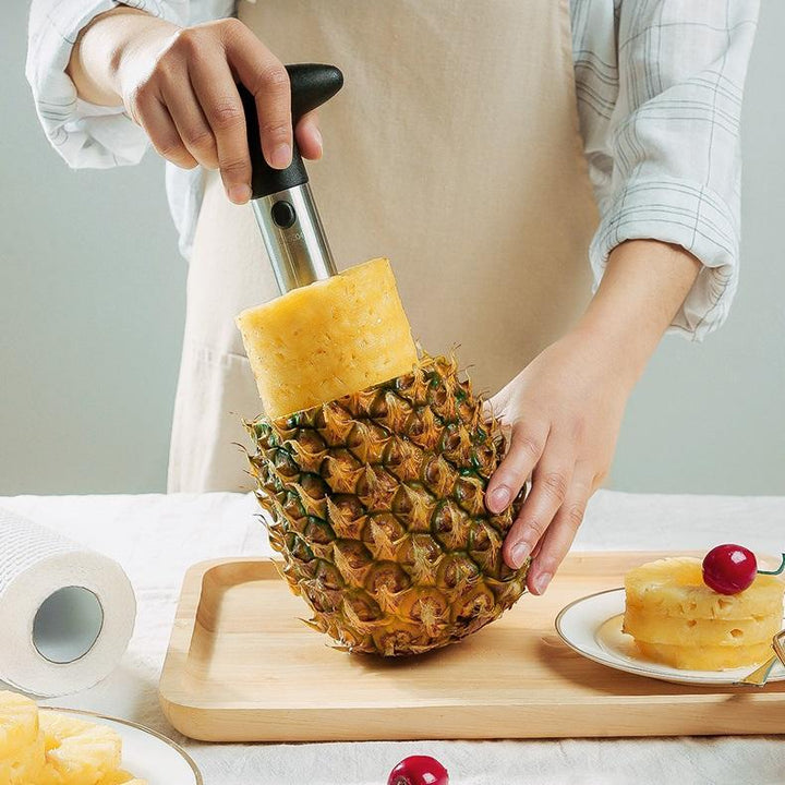 Kreativ Ananas Utsteker | Luvikno