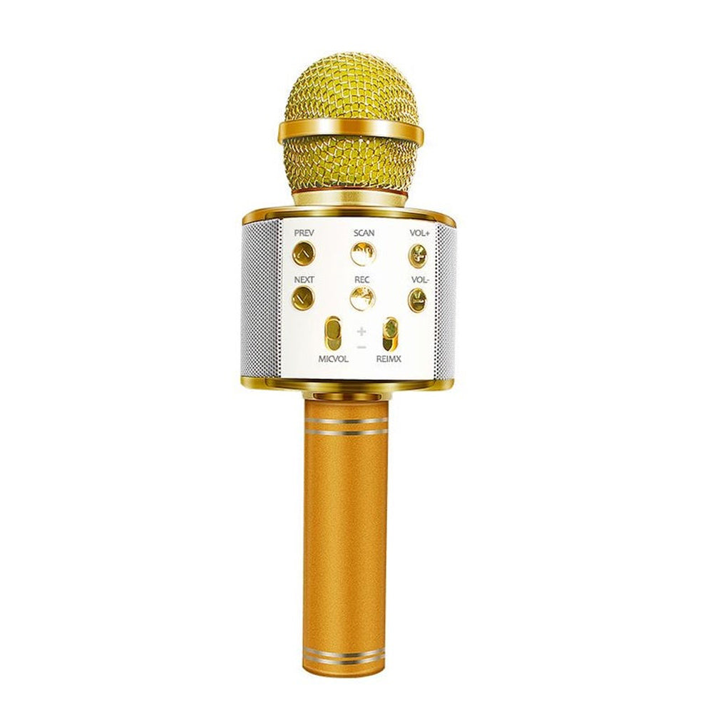 Luvikno | Oppladbar trådløs Bluetooth karaoke mikrofon