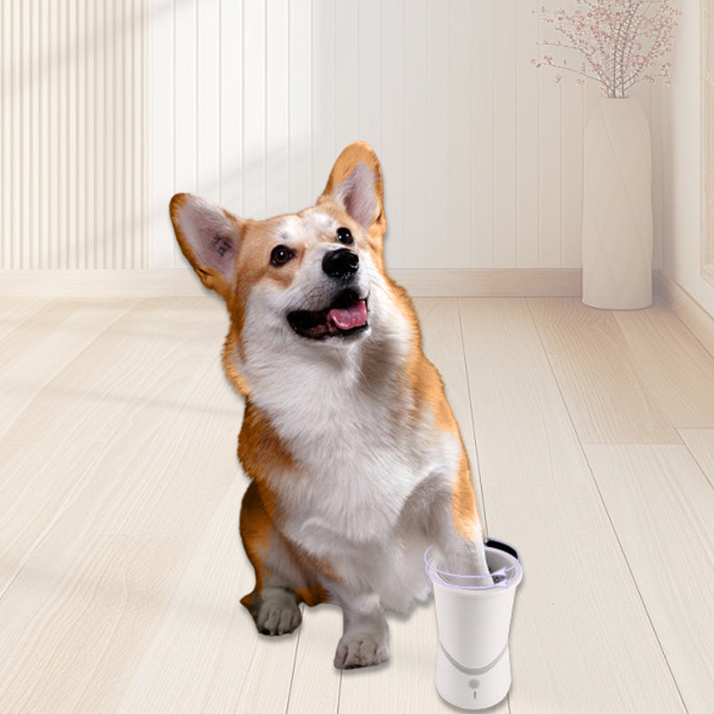 Luvikno | PawPerfection — Rene poter, stressfrie turer fulle av gode øyeblikk