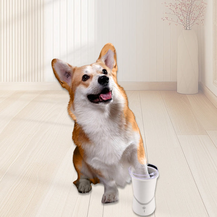 Luvikno | PawPerfection — Rene poter, stressfrie turer fulle av gode øyeblikk