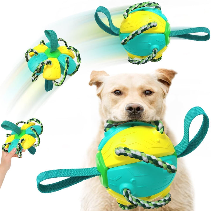 Hundelekeball UFO Magic Ball | Luvikno