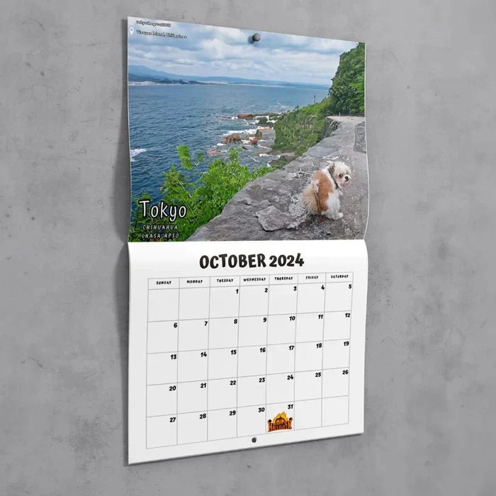 Morsomste Kalender-Hunder Bæsjer på Vakre Steder | "Kunstnerisk Utrykk" av Pelsvenner | Luvikno