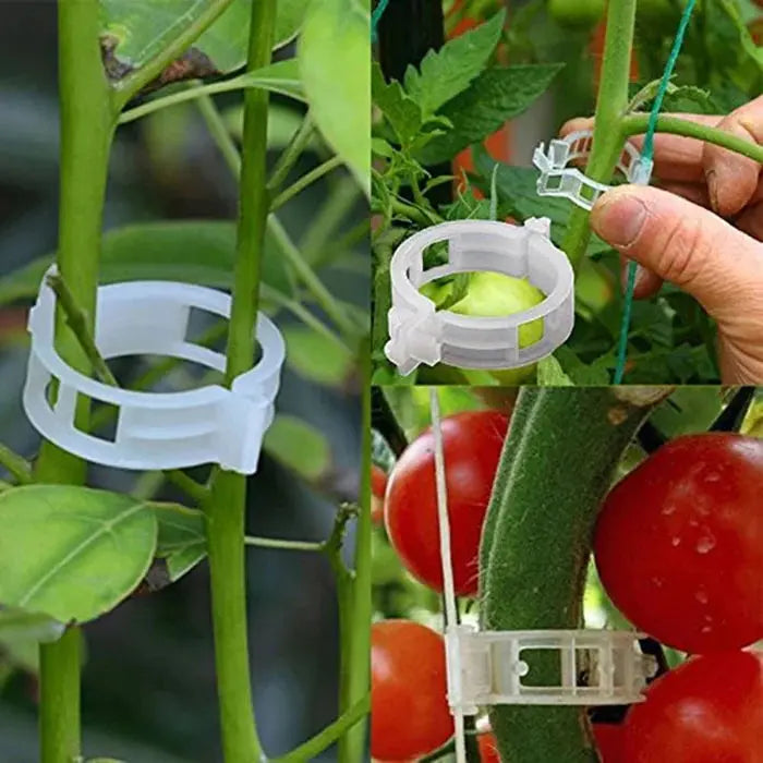 VitaGrip Clips — Sterk hold for majestetiske planter som vokser og trives stolt | Luvikno