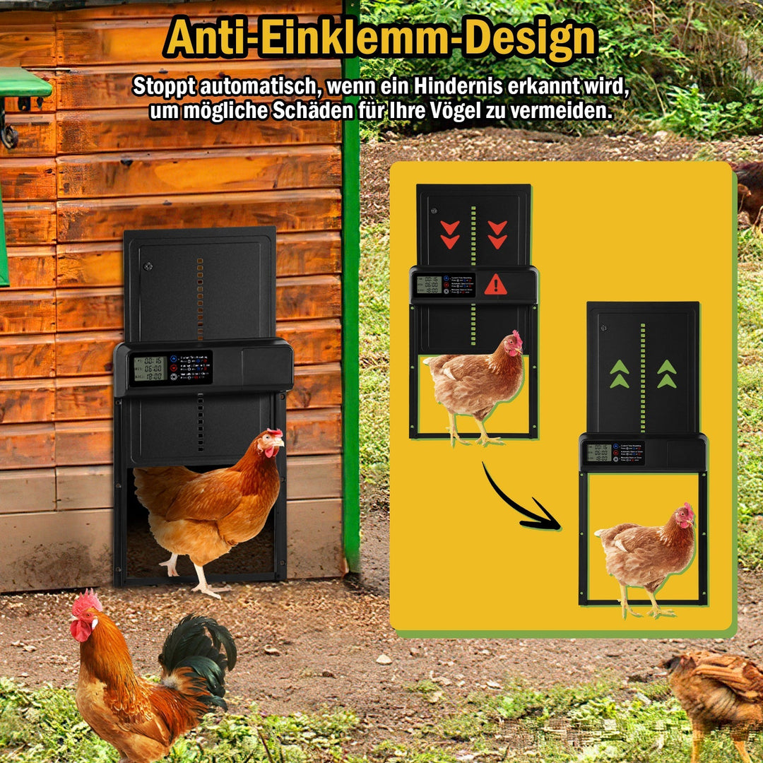 Kylling klaff automatisk timer | Luvikno