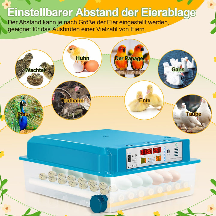 Brutautomat Helautomatiske Inkubator for Kyllinger 64 Egg | Luvikno