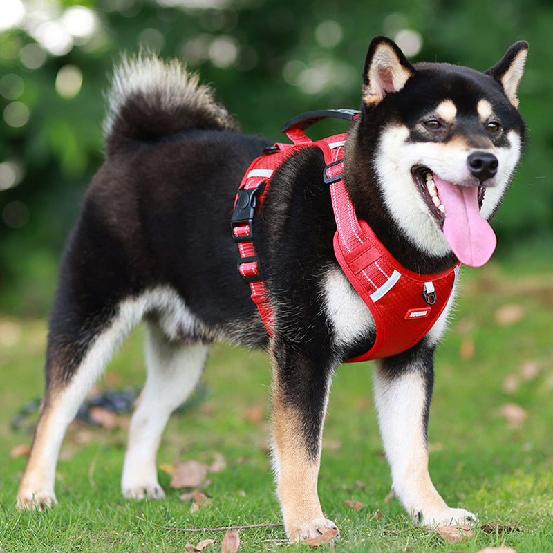 Reflekterende Hundesele | Luvikno
