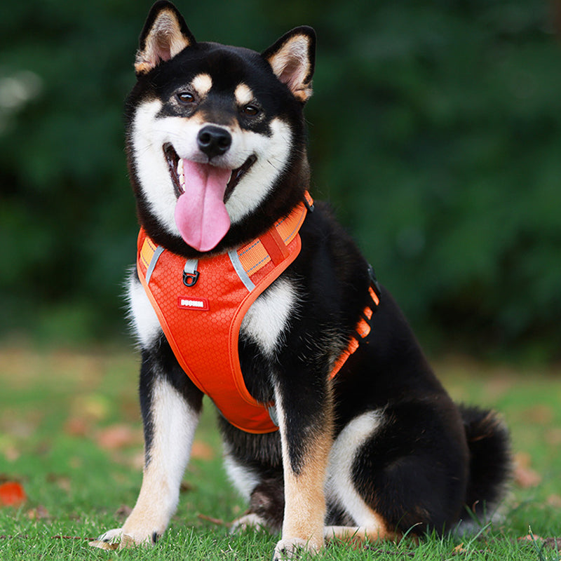 Reflekterende Hundesele | Luvikno