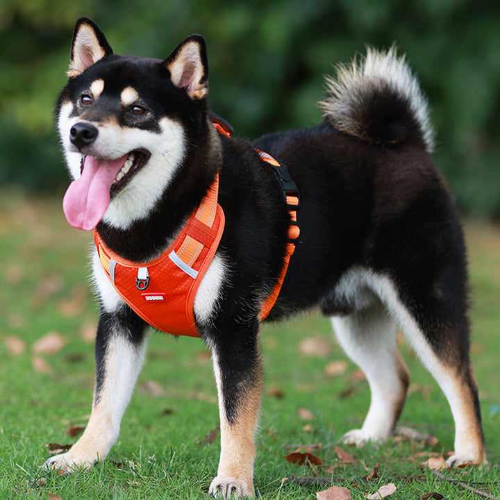 Reflekterende Hundesele | Luvikno