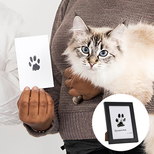 Luvikno | DIY Kattedyr Poteavtrykk Minne Ramme