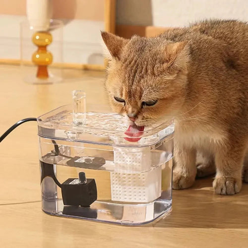 Katt og hund vann dispenser for rent og friskt vann Luvikno