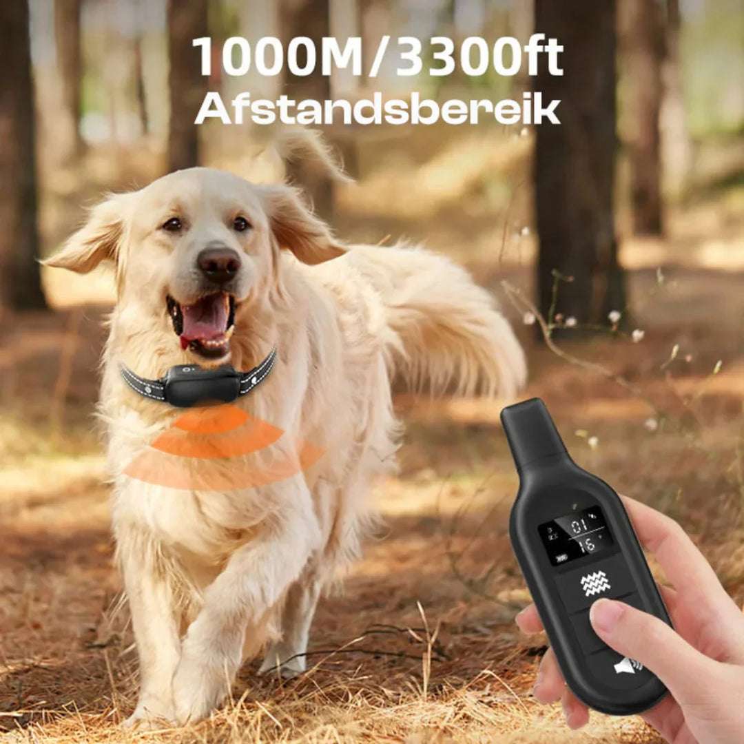 Luvikno | Elektrisk hundetreningshalsbånd med fjernkontroll, vanntett, 16 justerbare sjokk nivåer, 1000m rekkevidde, pip og vibrasjonsmoduser