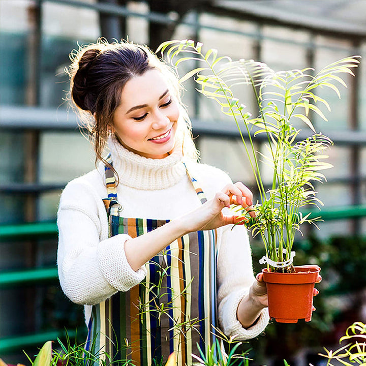 Plastikkinn for å holde planter | Luvikno