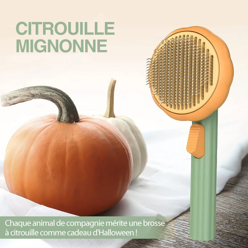 Pumpkin Comb Brush for Pets | luvikno
