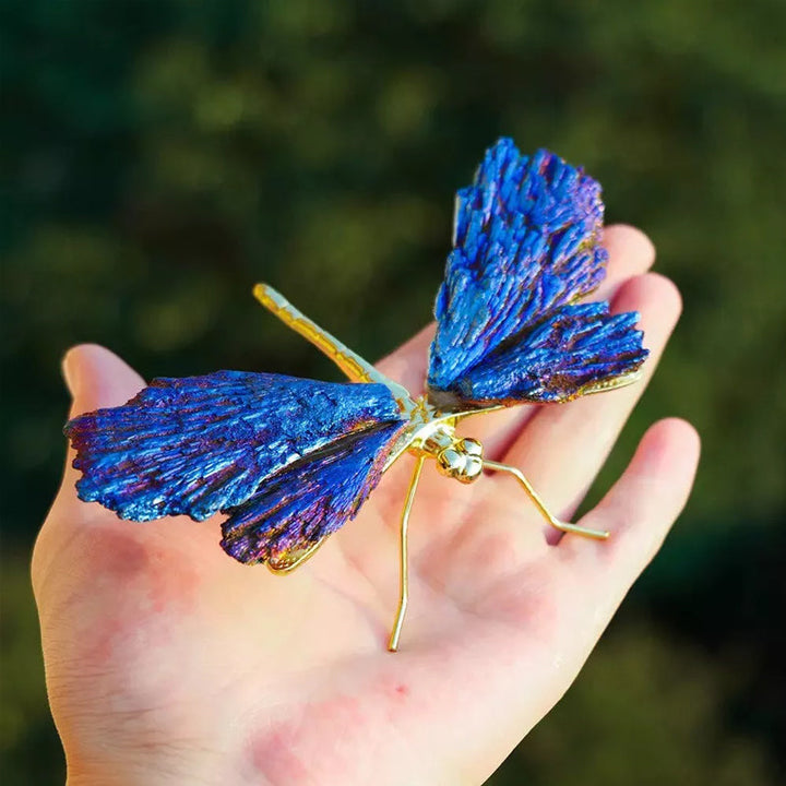 AURA TOURMALINE KYANITE DRAGEFLY | Luvikno