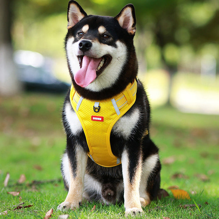 Reflekterende Hundesele | Luvikno