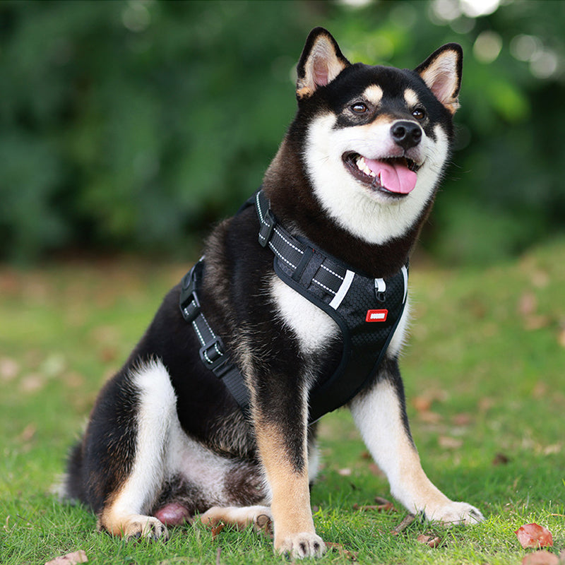 Reflekterende Hundesele | Luvikno