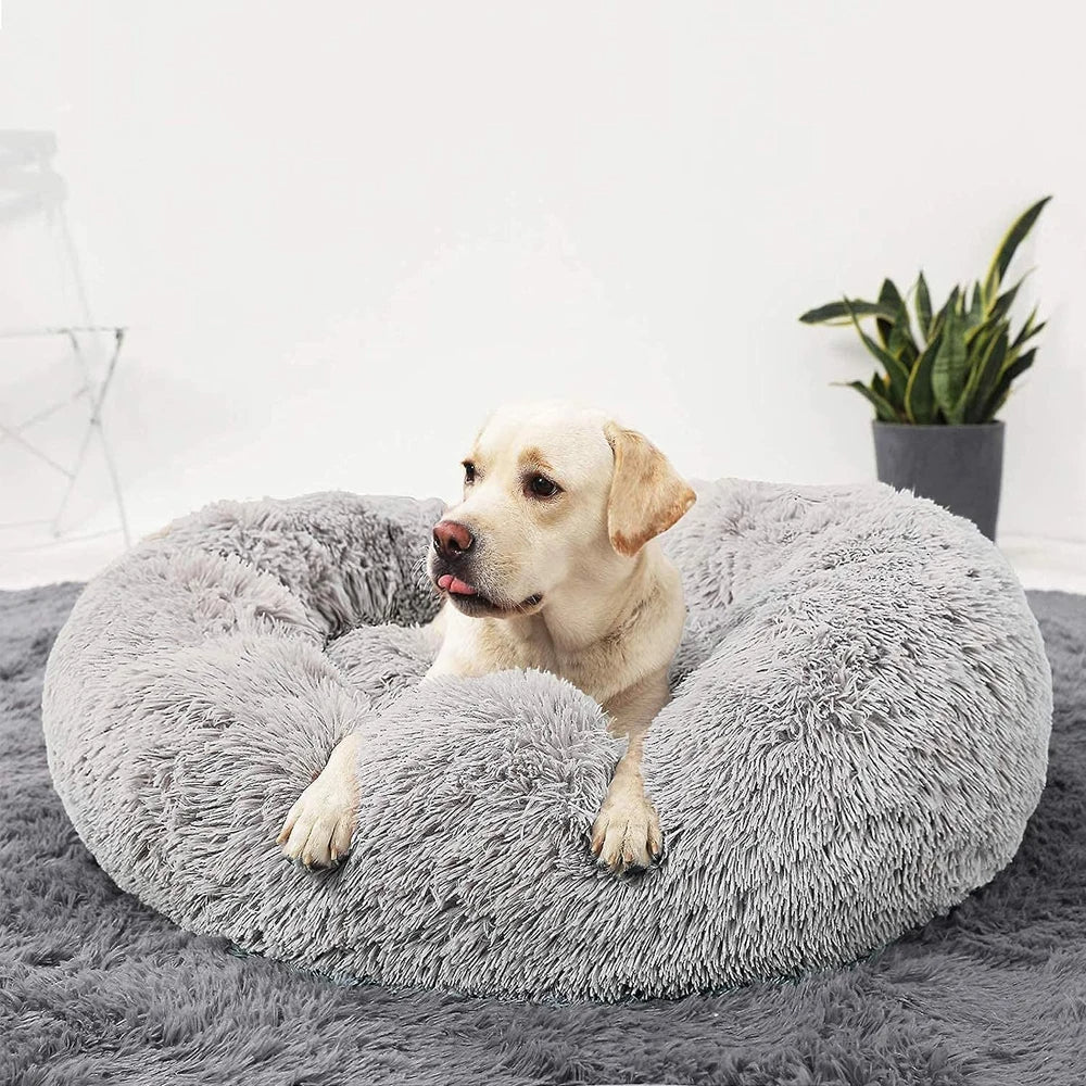 Premium Hundeseng Luvikno