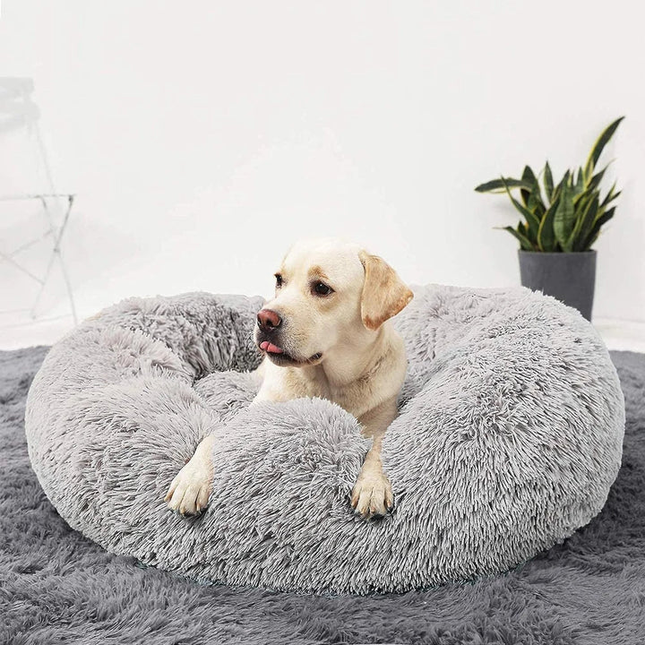 Premium Hundeseng Luvikno