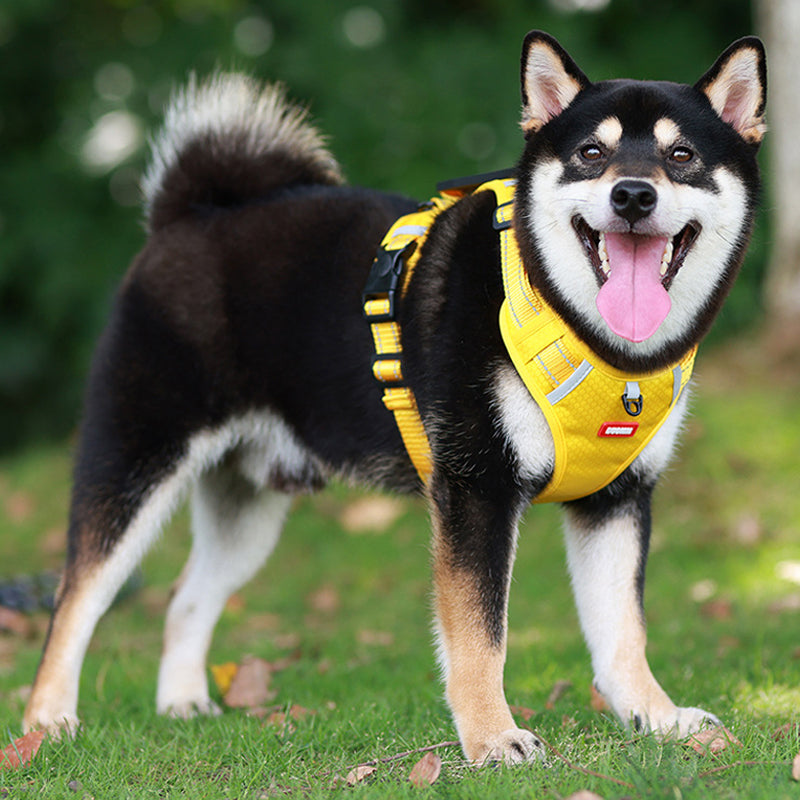 Reflekterende Hundesele | Luvikno
