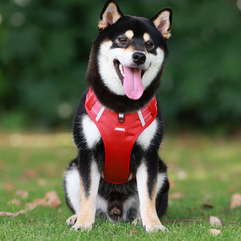 Reflekterende Hundesele | Luvikno