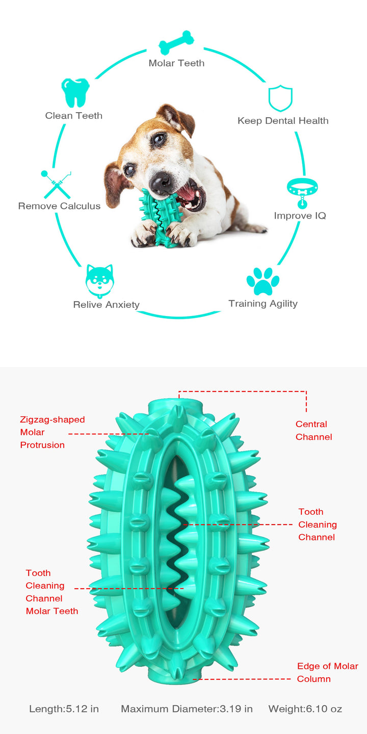 Cactus Chew Ball / For Dogs Luvikno