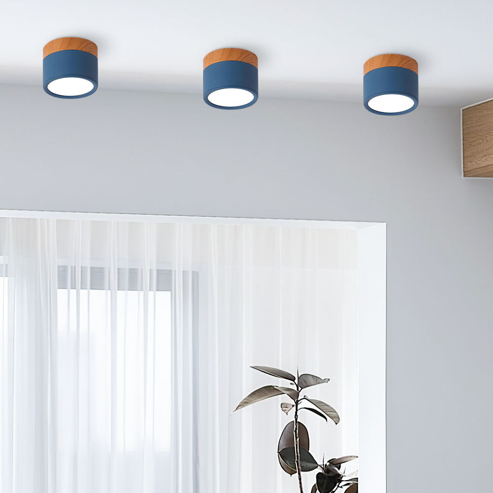 LED Taklampe Moderne Flush Mount Sylinder Luvikno