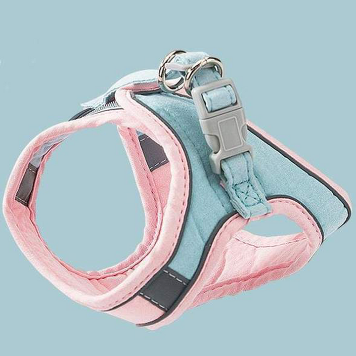 Harness og båndsett for katt | Luvikno
