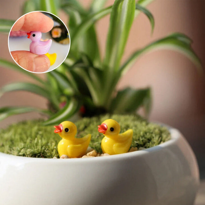 🦆Tiny Ducks | Challenge Hiding Ducks | Luvikno