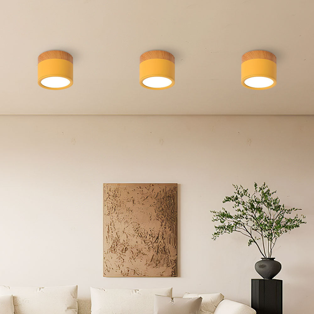 LED Taklampe Moderne Flush Mount Sylinder Luvikno