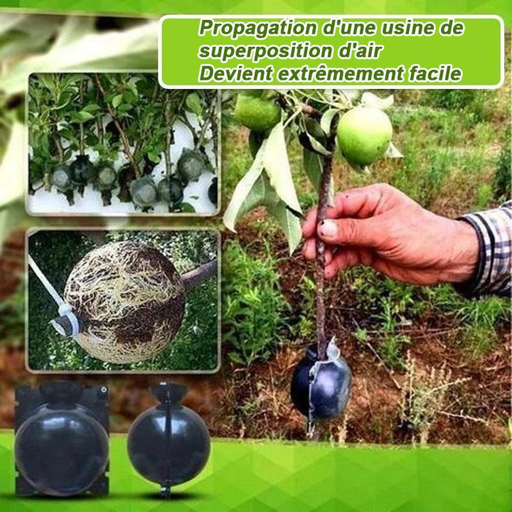 Air Layer Plant Propagation Capsule | Luvikno