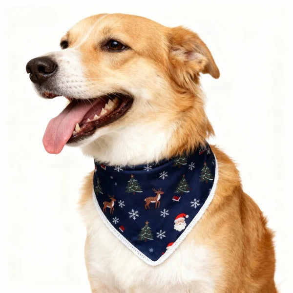 Luvik | Lomaperheen nappikauluspaita tummansininen satiinijouluyöasu