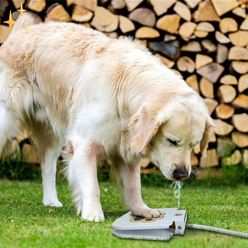 Splash & Play Interaktiv Hund Vannleketøy Bolle